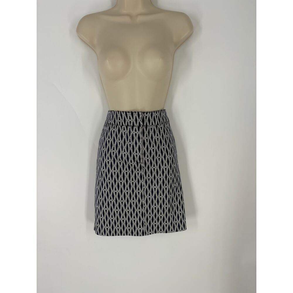 Ellen Tracy Midi Skirt (B29)